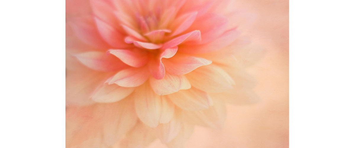 image taken by Kathleen Clemons